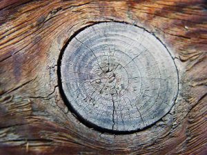 nudos-en-la-madera